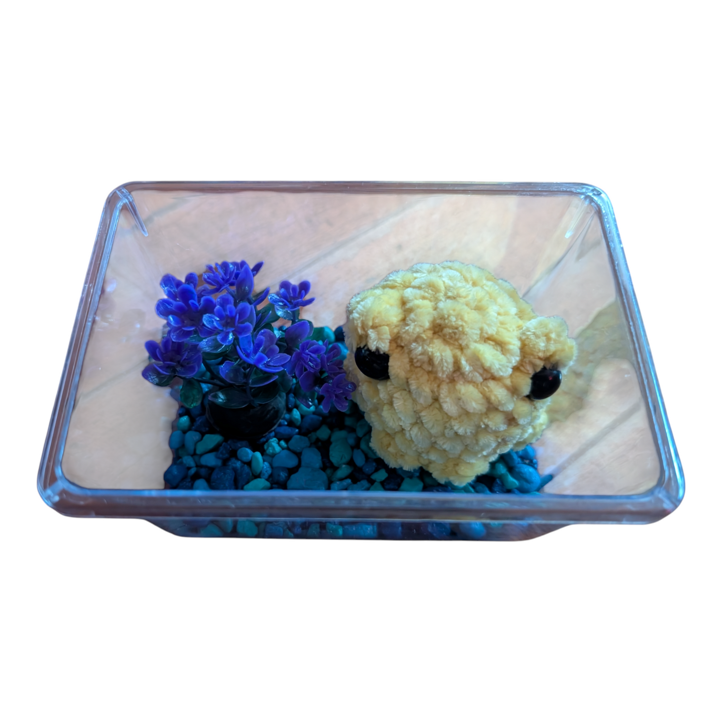 No Fuss Pet (Frog)