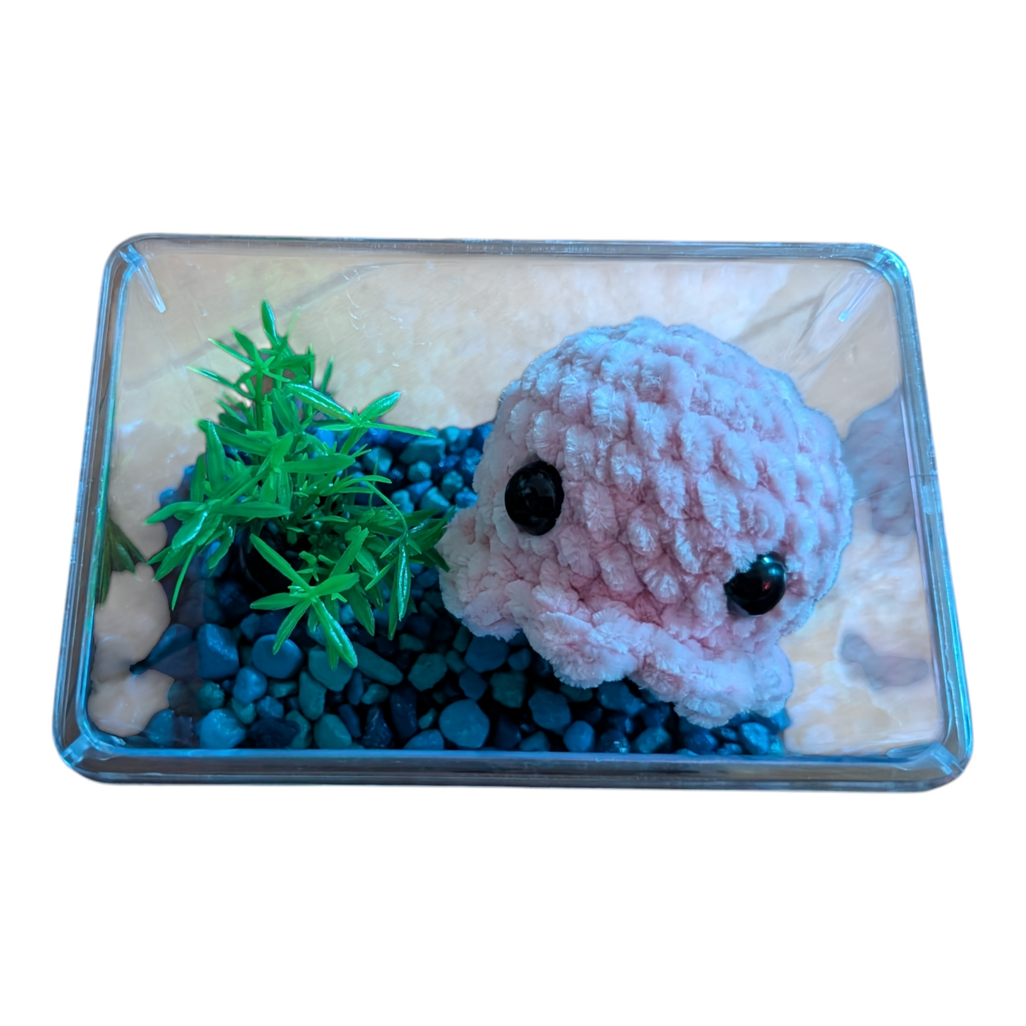 No Fuss Pet (Octos)