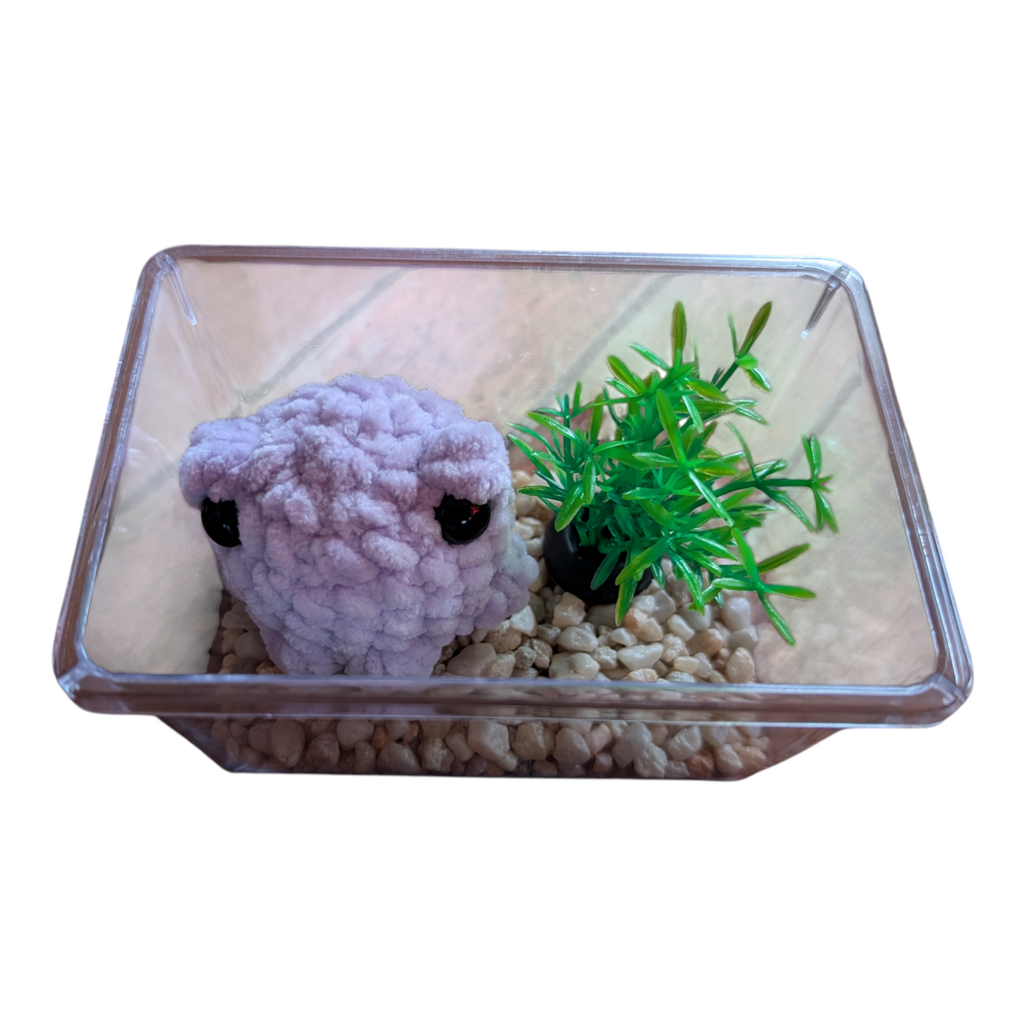 No Fuss Pet (Frog)
