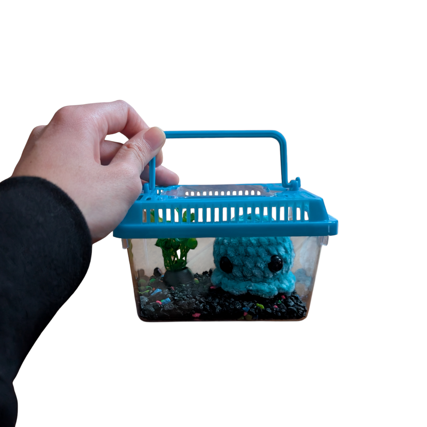No Fuss Pet (Octos)
